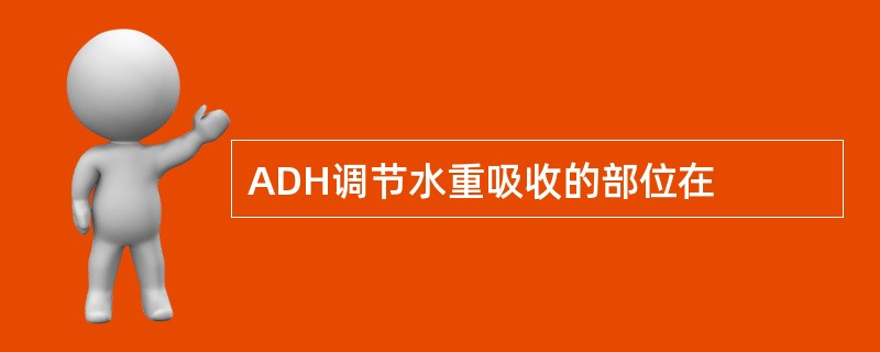 ADH调节水重吸收的部位在