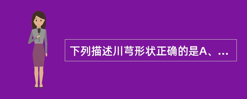 下列描述川芎形状正确的是A、类纺锤形B、圆柱形C、结节状拳形团块D、不规则柱状E