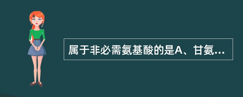 属于非必需氨基酸的是A、甘氨酸B、氮氨酸C、赖氨酸D、色氨酸E、苯丙氨酸