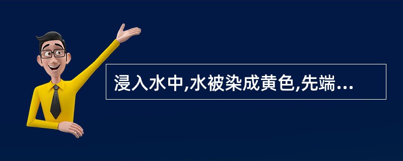 浸入水中,水被染成黄色,先端呈喇叭状,内侧有一短缝的药材是A、西红花B、红花C、