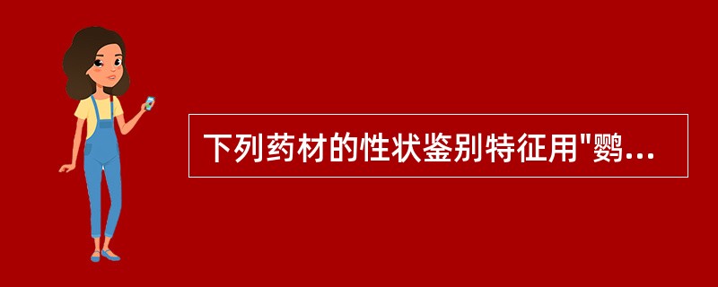 下列药材的性状鉴别特征用"鹦哥嘴"来形容的是A、三七B、白芷C、防风D、银柴胡E