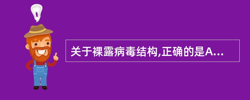 关于裸露病毒结构,正确的是A、核酸£«包膜B、核酸£«蛋白质£«脂类C、衣壳£«