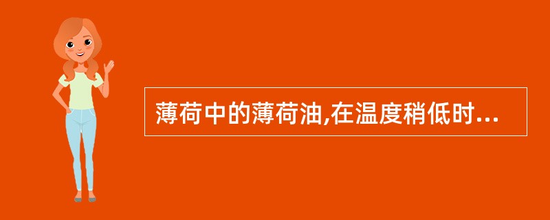 薄荷中的薄荷油,在温度稍低时即析出A、大量无色薄荷脑结晶B、少量无色薄荷脑结晶C