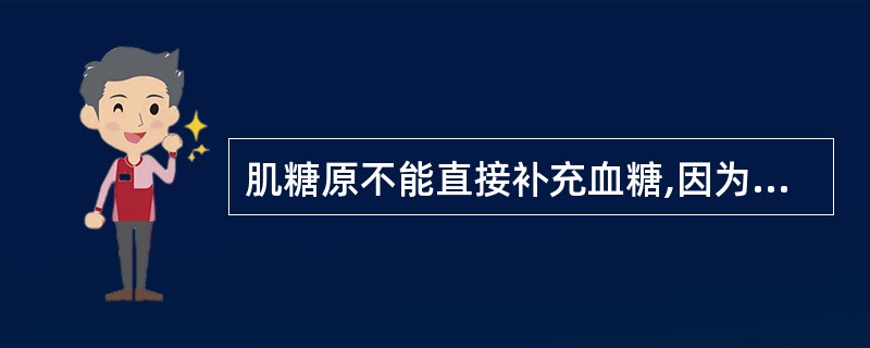 肌糖原不能直接补充血糖,因为肌肉不含有A、葡萄糖激酶B、分支酶C、UDPG焦磷酸