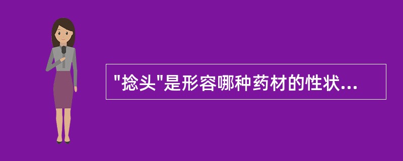 "捻头"是形容哪种药材的性状特征A、花鹿茸B、马鹿茸C、羚羊角D、蛤蚧E、地龙