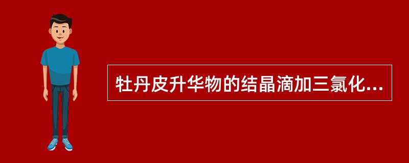 牡丹皮升华物的结晶滴加三氯化铁醇溶液后