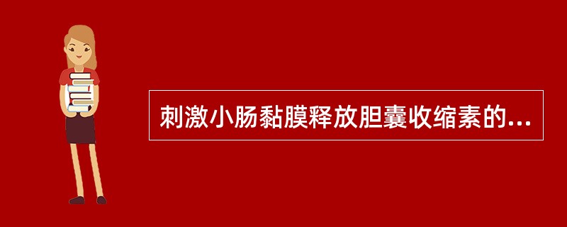 刺激小肠黏膜释放胆囊收缩素的最强物质是