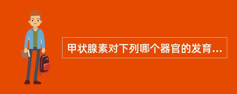 甲状腺素对下列哪个器官的发育最为重要