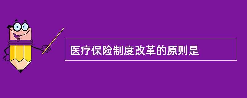 医疗保险制度改革的原则是