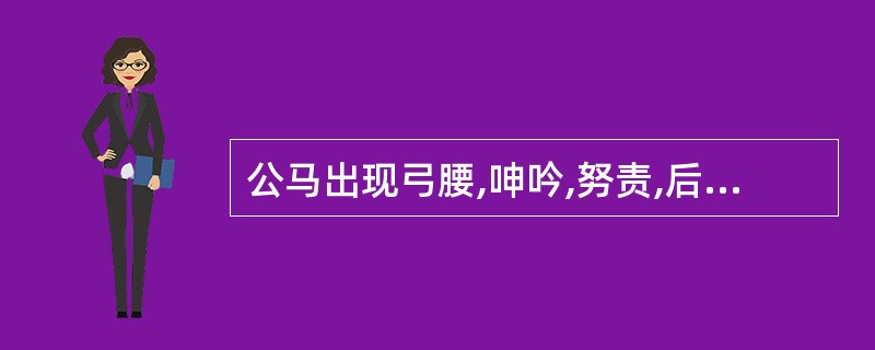 公马出现弓腰,呻吟,努责,后肢踢腹,频频排尿,仅排出少量尿液或无尿,提示A、排尿