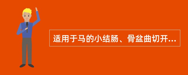 适用于马的小结肠、骨盆曲切开术的手术通路为