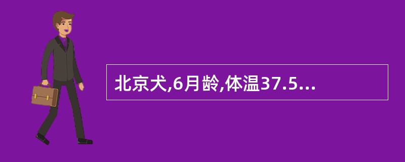 北京犬,6月龄,体温37.5℃,排少量黏液样柏油状粪便,呕吐,腹部触诊有“香肠,