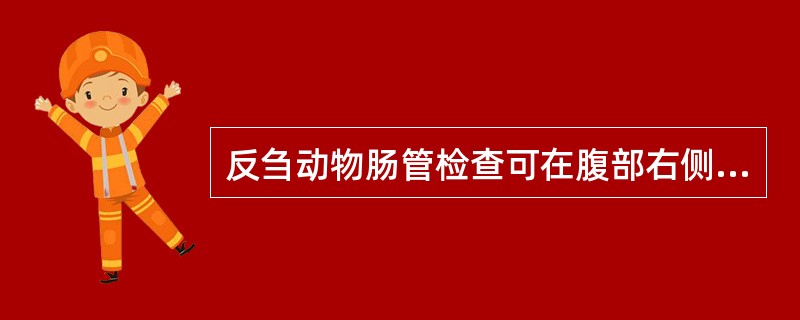 反刍动物肠管检查可在腹部右侧后部听诊,可听到稀而弱的肠蠕动音。若听诊时发现肠音短