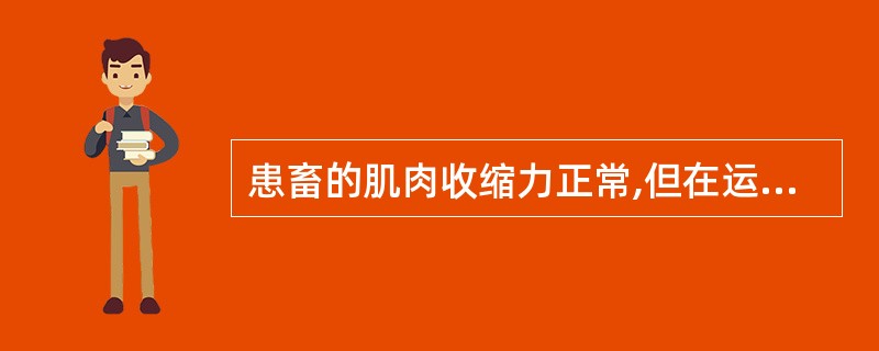 患畜的肌肉收缩力正常,但在运动过程中各肌群不协调,使病畜的体位、运动方向、顺序、