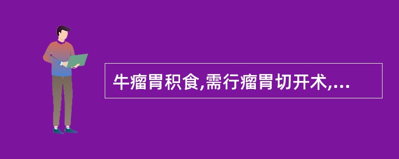 牛瘤胃积食,需行瘤胃切开术,其手术通路是