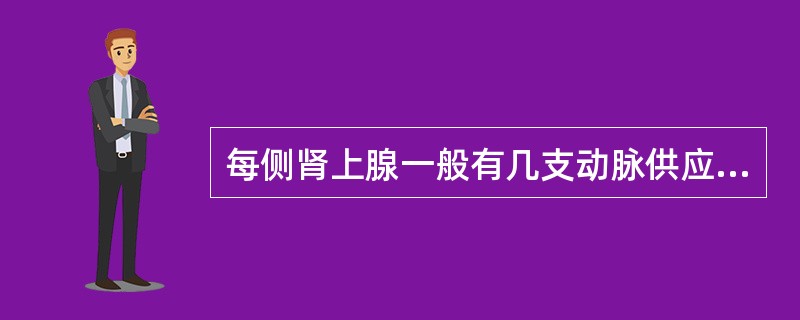 每侧肾上腺一般有几支动脉供应A、2B、3C、4D、5E、6