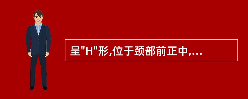 呈"H"形,位于颈部前正中,与喉及气管软骨直接毗邻的是