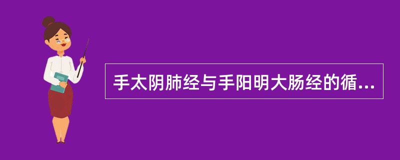 手太阴肺经与手阳明大肠经的循行交接部位是A、拇指端B、食指端C、中指端D、无名指