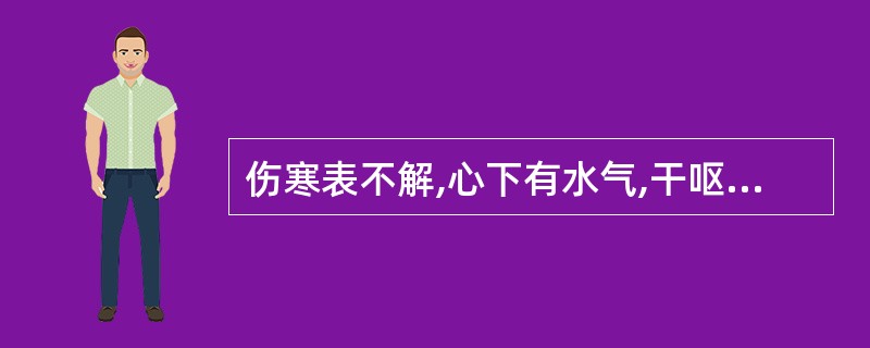 伤寒表不解,心下有水气,干呕,发热而咳,或渴,或噎,或小便不利,少腹满,或喘者,