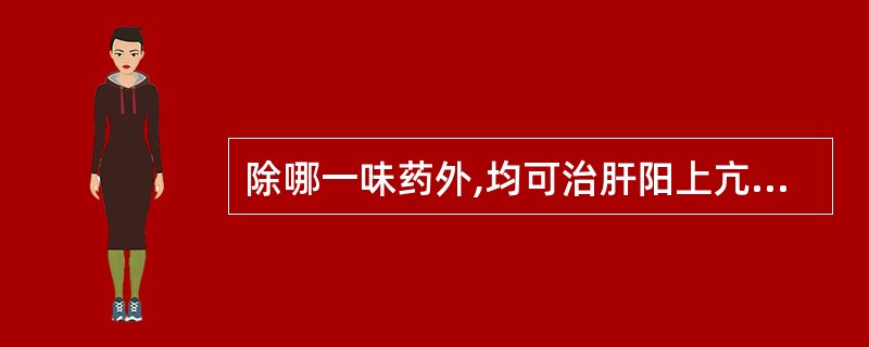 除哪一味药外,均可治肝阳上亢之头晕目眩A、羚羊角B、钩藤C、天麻D、牛黄E、龙骨