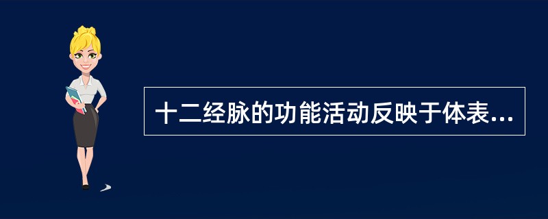 十二经脉的功能活动反映于体表的部位是A、孙络B、十二经筋C、十二皮部D、十五别络