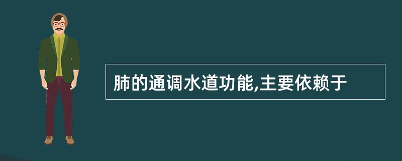 肺的通调水道功能,主要依赖于