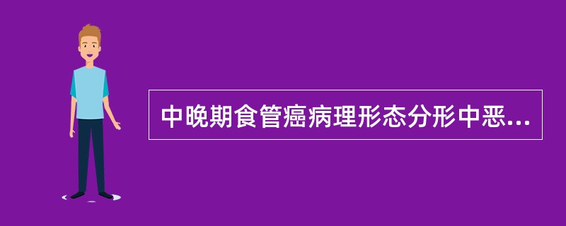 中晚期食管癌病理形态分形中恶性程度最高的是A、髓质型B、草伞型C、溃疡型D、缩窄