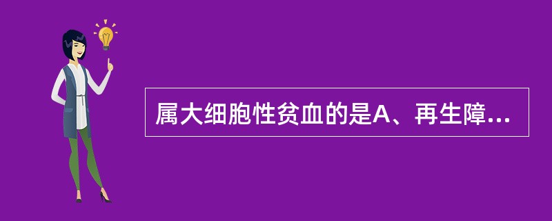 属大细胞性贫血的是A、再生障碍性贫血B、缺铁性贫血C、地中海贫血D、恶性贫血E、