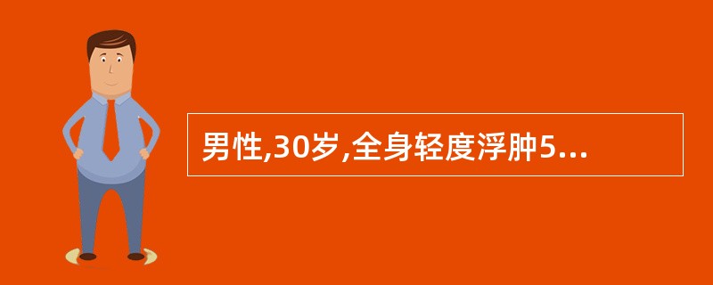 男性,30岁,全身轻度浮肿5年,血压180£¯90mmHg,尿红细胞10~15个