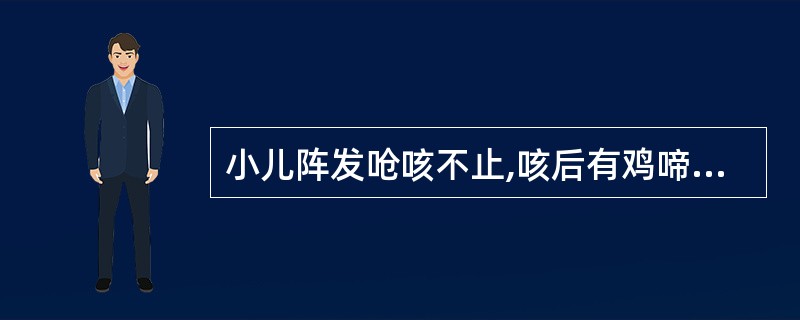 小儿阵发呛咳不止,咳后有鸡啼样回声者为A、顿咳B、痰咳C、白喉D、喉风E、哮喘
