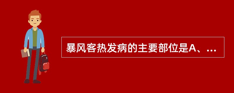 暴风客热发病的主要部位是A、胞睑B、两眦C、黑睛D、白睛E、瞳神