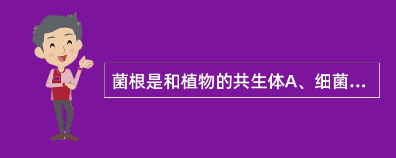 菌根是和植物的共生体A、细菌B、放线菌C、真菌D、酵母菌E、以上都错