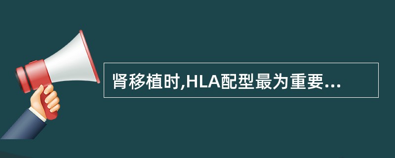 肾移植时,HLA配型最为重要的是 ( )A、HLA£­DP、HLA£­CB、HL