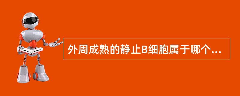 外周成熟的静止B细胞属于哪个亚群A、CD4阳性细胞B、CD4阴性细胞C、B1细胞