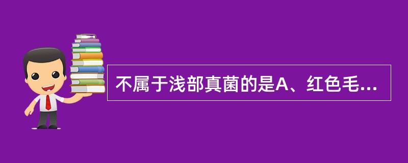 不属于浅部真菌的是A、红色毛癣菌B、铁锈色小孢子菌C、石膏样小孢子菌D、卡氏肺孢