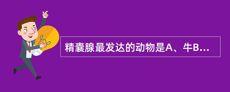 精囊腺最发达的动物是A、牛B、羊C、猪D、马E、犬