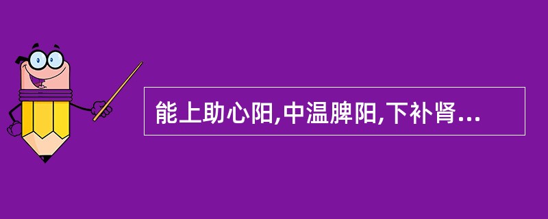 能上助心阳,中温脾阳,下补肾阳的药物是