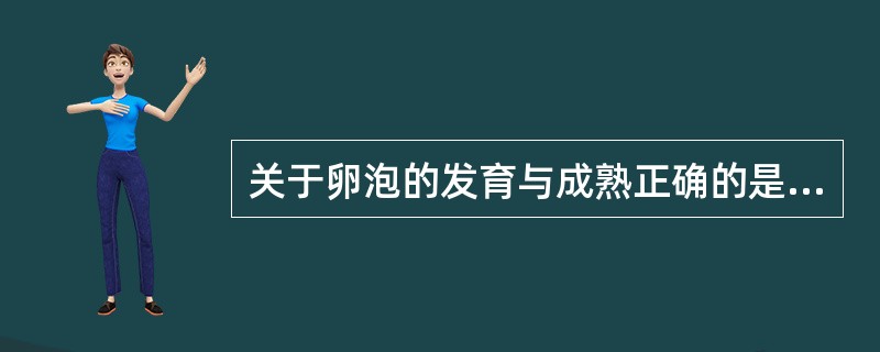 关于卵泡的发育与成熟正确的是（）