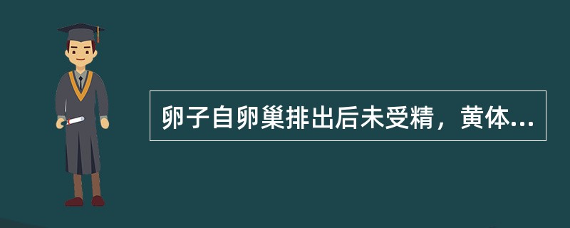 卵子自卵巢排出后未受精，黄体开始萎缩是在排卵后的（）