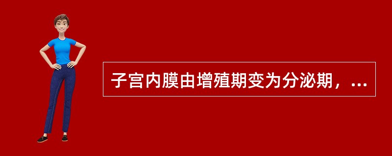 子宫内膜由增殖期变为分泌期，主要是受哪种激素的作用（）