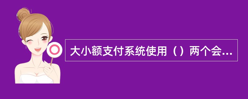 大小额支付系统使用（）两个会计科目进行核算。