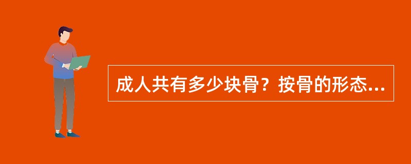 成人共有多少块骨？按骨的形态可分为哪几类？