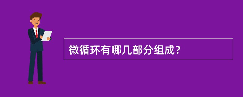 微循环有哪几部分组成？