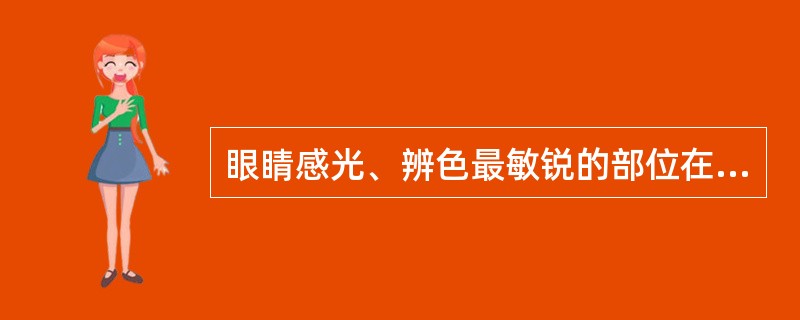 眼睛感光、辨色最敏锐的部位在何处？