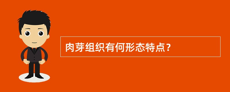 肉芽组织有何形态特点？