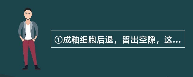 ①成釉细胞后退，留出空隙，这些细长的空隙与基质接触；②釉原蛋白减少，晶体长大成熟