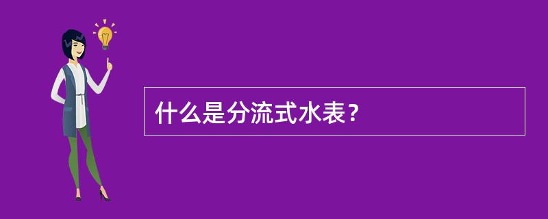 什么是分流式水表？