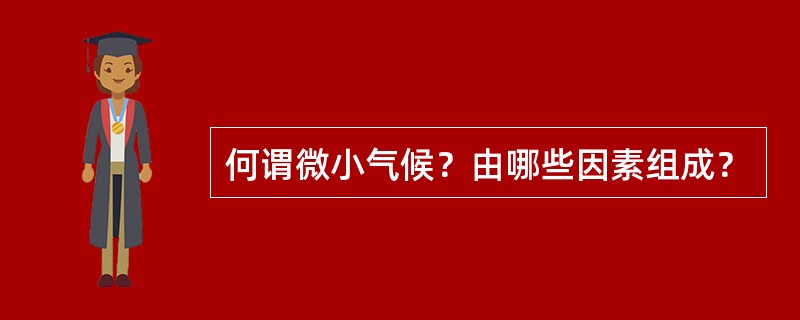 何谓微小气候？由哪些因素组成？