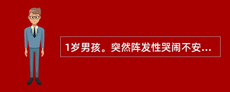 1岁男孩。突然阵发性哭闹不安，呕吐，排果酱样血便，首先应考虑的是（）。