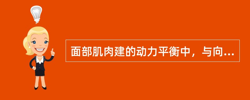 面部肌肉建的动力平衡中，与向后的动力有关的肌肉是（）